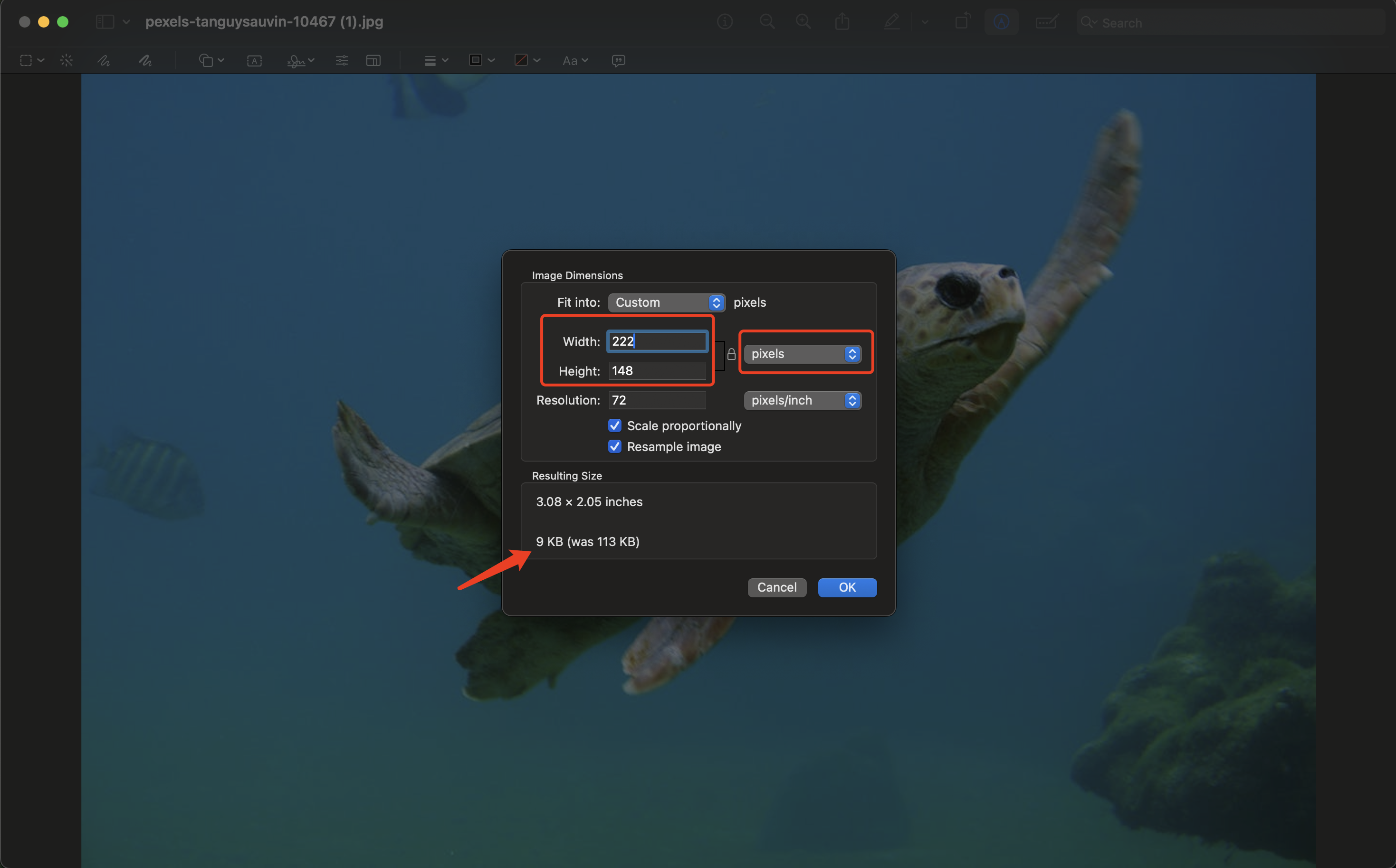 Adjust Size in Preview
